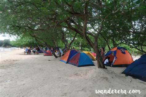 manuel uy beach resort reviews|Getaway with family .